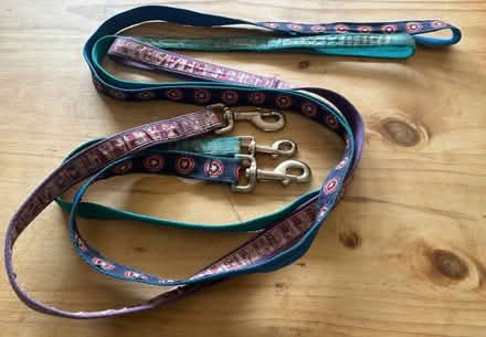 Photo of free 3 dog leads (Prestwick) #1
