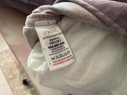Photo of free Next Cushions x 2 (Old Windsor SL4) #2