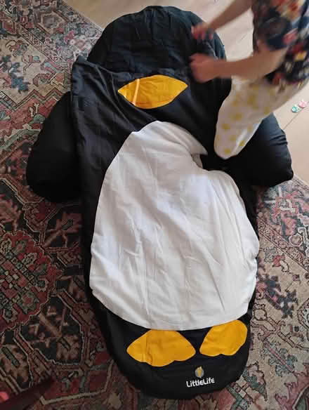 Photo of free Toddler air bed (billericay CM12) #1