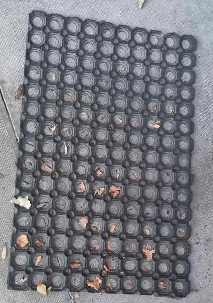 Photo of free Doormat (Longsight M13) #1