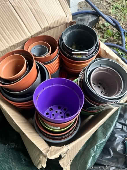 Photo of free Plant pots (Heston) #1