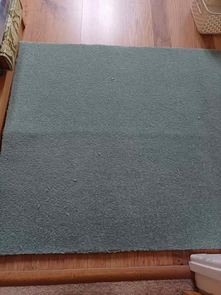 Photo of free Roll of new carpet (Owlthorpe S20) #1