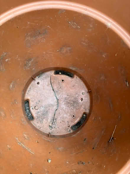 Photo of free V Large plastic pot with base crack (Billericay) #2