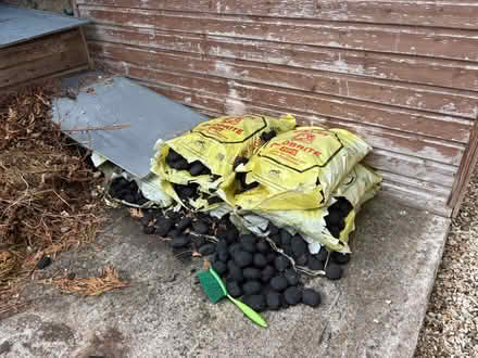 Photo of free Coal (Mochdre SY16) #1