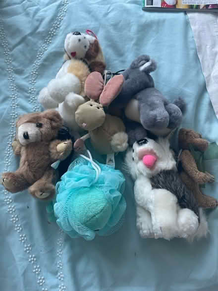Photo of free Bag of assorted small soft toys (Halifax, HX1) #1