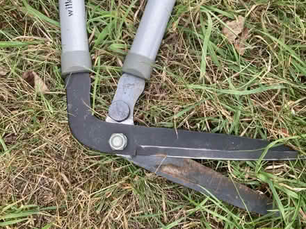 Photo of free Grass shears (Letchworth wilbury) #2