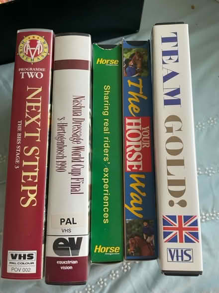 Photo of free Horse riding videos (Halifax, HX1) #1