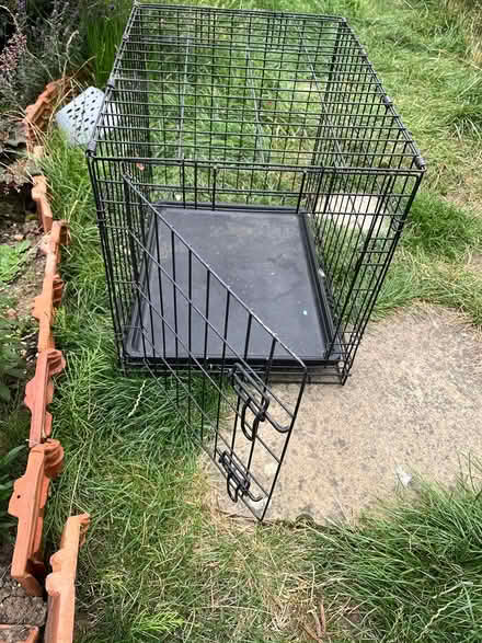 Photo of free Dog crate (Eastbourne BN237) #1