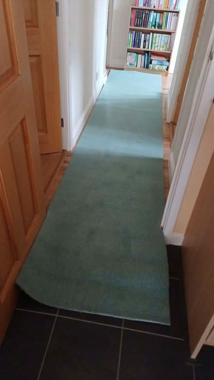 Photo of free Roll of new carpet (Owlthorpe S20) #2