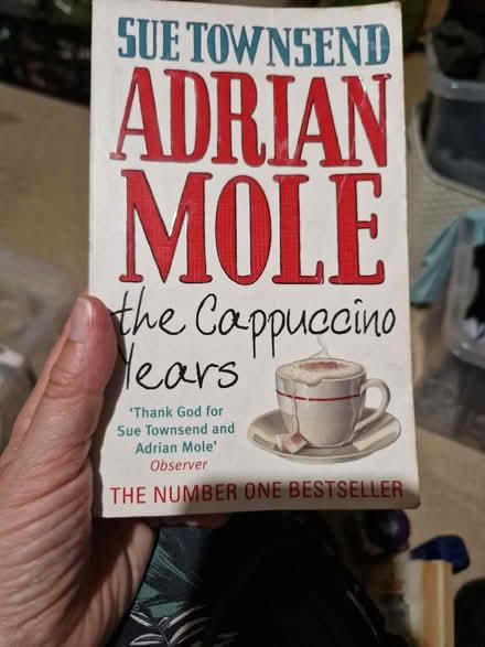 Photo of free Adrian mole book (Sainsburys GL52) #1