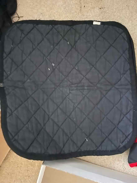 Photo of free Horse bandage leg pads (Halifax, HX1) #1
