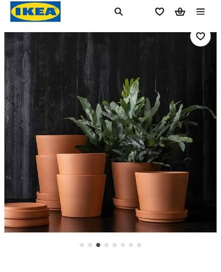 Photo of Terracotta plant pot and saucer (Kemptown BN2) #1