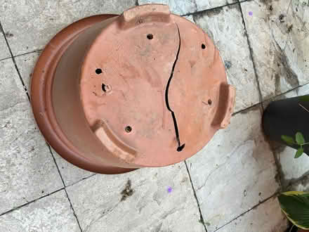 Photo of free V Large plastic pot with base crack (Billericay) #3