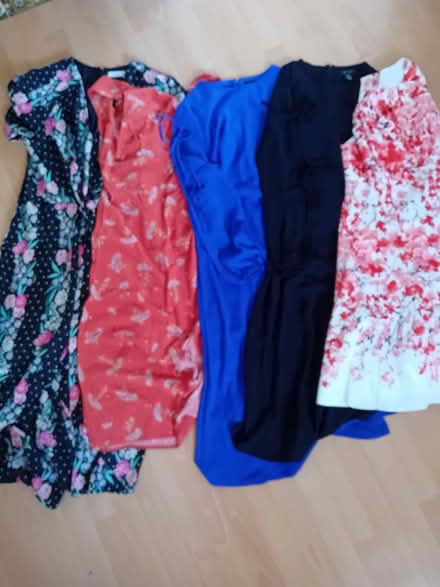 Photo of free Ladies dresses size 12 (Hayes BR2) #1