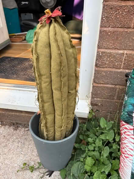 Photo of free Hand made cactus (BA5) #1