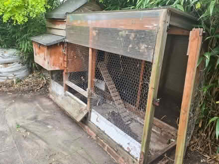 Photo of free Hen House (TN23) #4