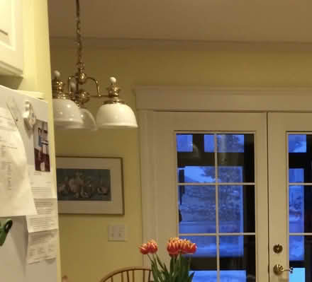 Photo of free Hanging Lamp (Lexington center) #2