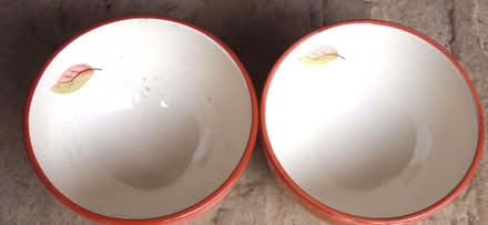 Photo of free cereal bowls (Oakwood LS8) #2