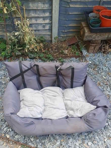 Photo of free Dog Travel bed, large (Twickenham TW2) #1