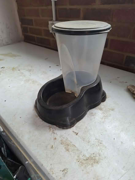 Photo of free Dog 'automatic' water bowl (South Green CM11) #1