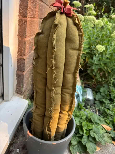 Photo of free Hand made cactus (BA5) #3
