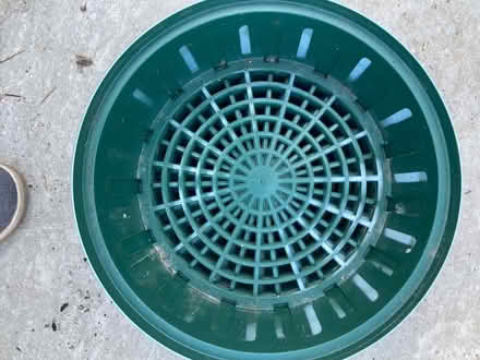 Photo of free Bulb planters (Wickford) #1