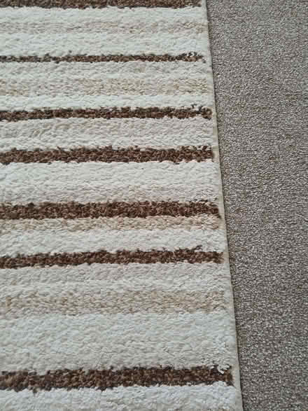 Photo of free Rug 120cm x 170cm (Wallisdown BH12) #2