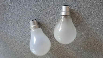 Photo of free 100w bulbs (Winkfield Row RG42) #1