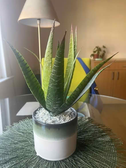 Photo of free Fake plant with green &vase vase (Brockley SE4) #3