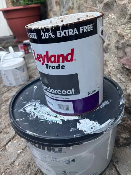 Photo of free Paint for interior decorating (Whashton Green DL11) #4