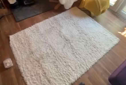 Photo of free Cream tufty rug (BS5) #1