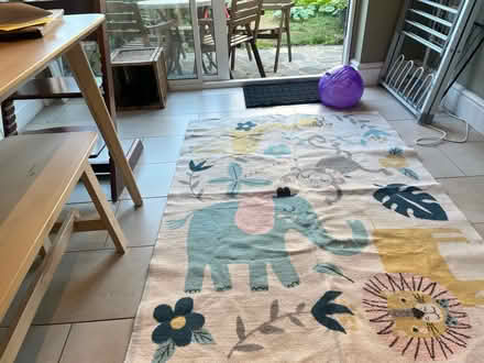 Photo of free Kids /children’s rug (South Norwood, SE25) #3