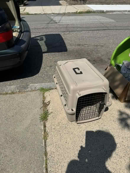 Photo of free dog crate, decorative shelving (Manning St. Medford) #1