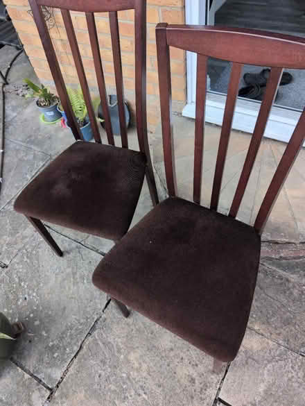 Photo of free 2 dining table chairs (CM3 Boreham) #1