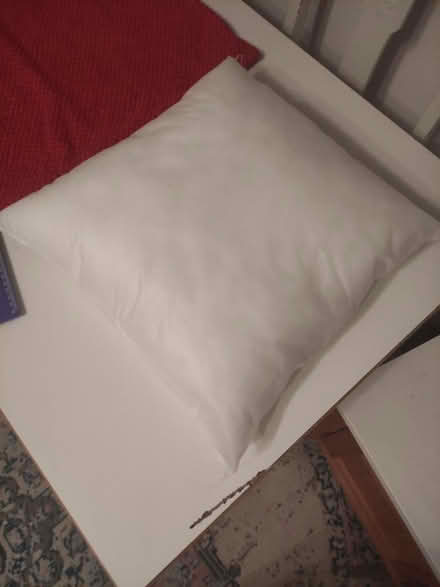 Photo of free New cushion inner (Weybridge, KT13) #1
