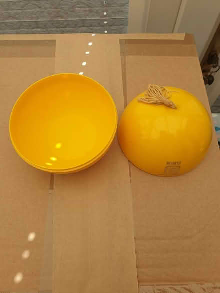 Photo of free Original Kiku (St Leonards-on-sea TN38) #2