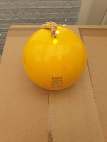 Photo of free Original Kiku (St Leonards-on-sea TN38) #1