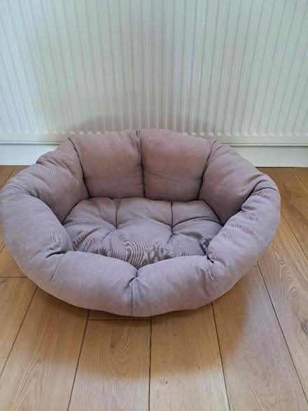Photo of free Dog/Cat Basket (Woodley RG5) #1