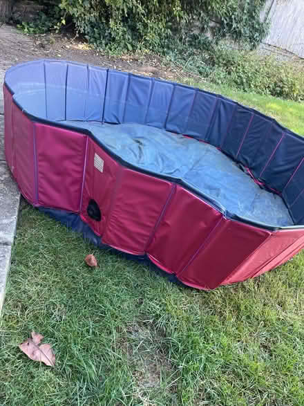 Photo of free Dog paddling pool (Barnet, North London) #2