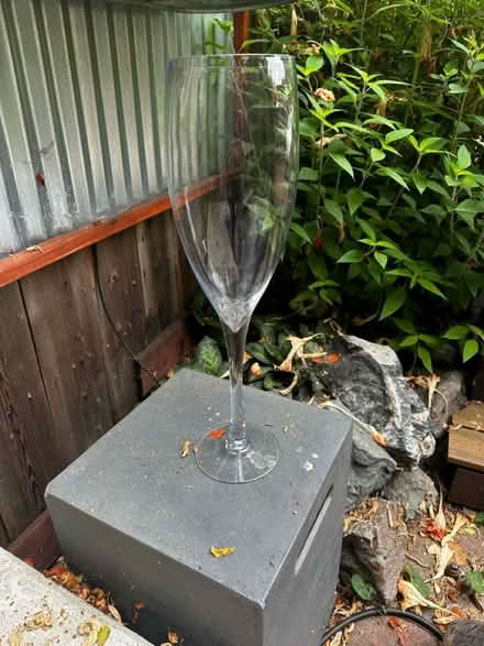 Photo of free Giant glass vase (?) (Oakland Fruitvale area) #2