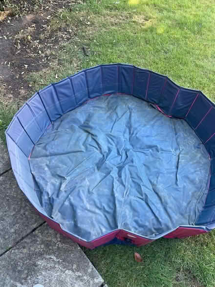 Photo of free Dog paddling pool (Barnet, North London) #1