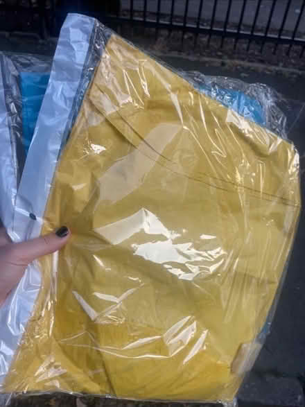 Photo of free Paper lanterns (Dennistoun G31) #1