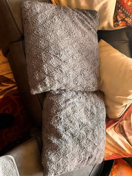Photo of free 2 x grey Teddy Bear fleece pillows (Spondon DE21) #1
