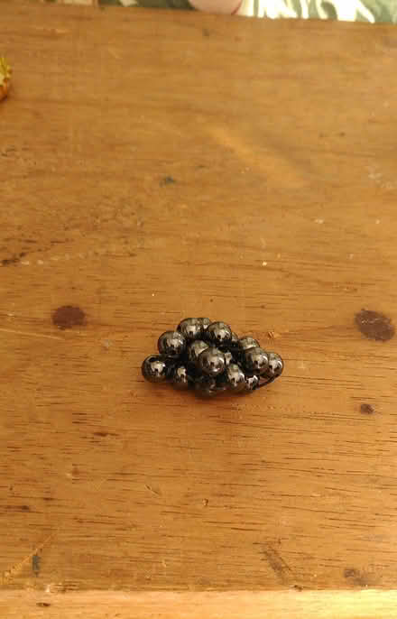 Photo of free Cluster of tiny magnetic balls (New Street, Ludlow) #1