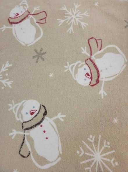 Photo of free King sized flannel sheets - Livonia (Livonia) #1