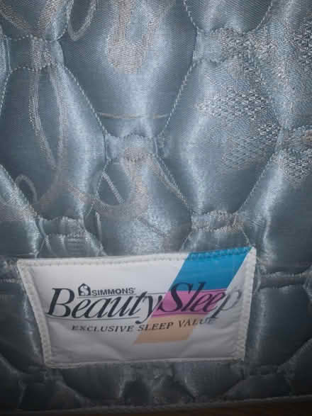 Photo of free Simmons Beauty Sleep Twin Mattress (Downers Grove) #1
