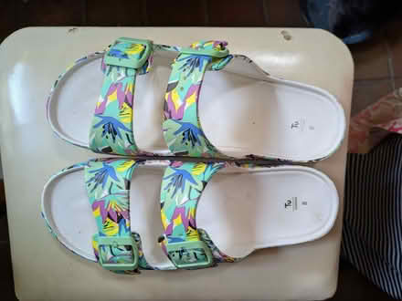Photo of free Plastic beach/pool slides (Halton LA2) #1