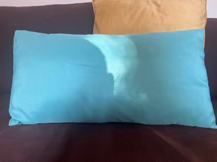 Photo of free Set of 4x decorative cushions (Brockley SE4) #4