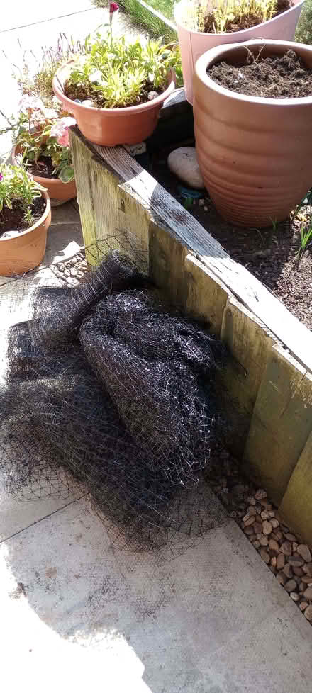 Photo of free Pond Netting (Slack Lane DE22) #1