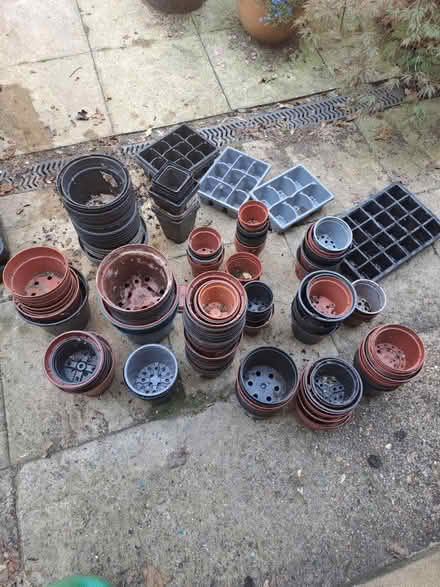 Photo of free Plant Pots (Emsworth PO10) #2